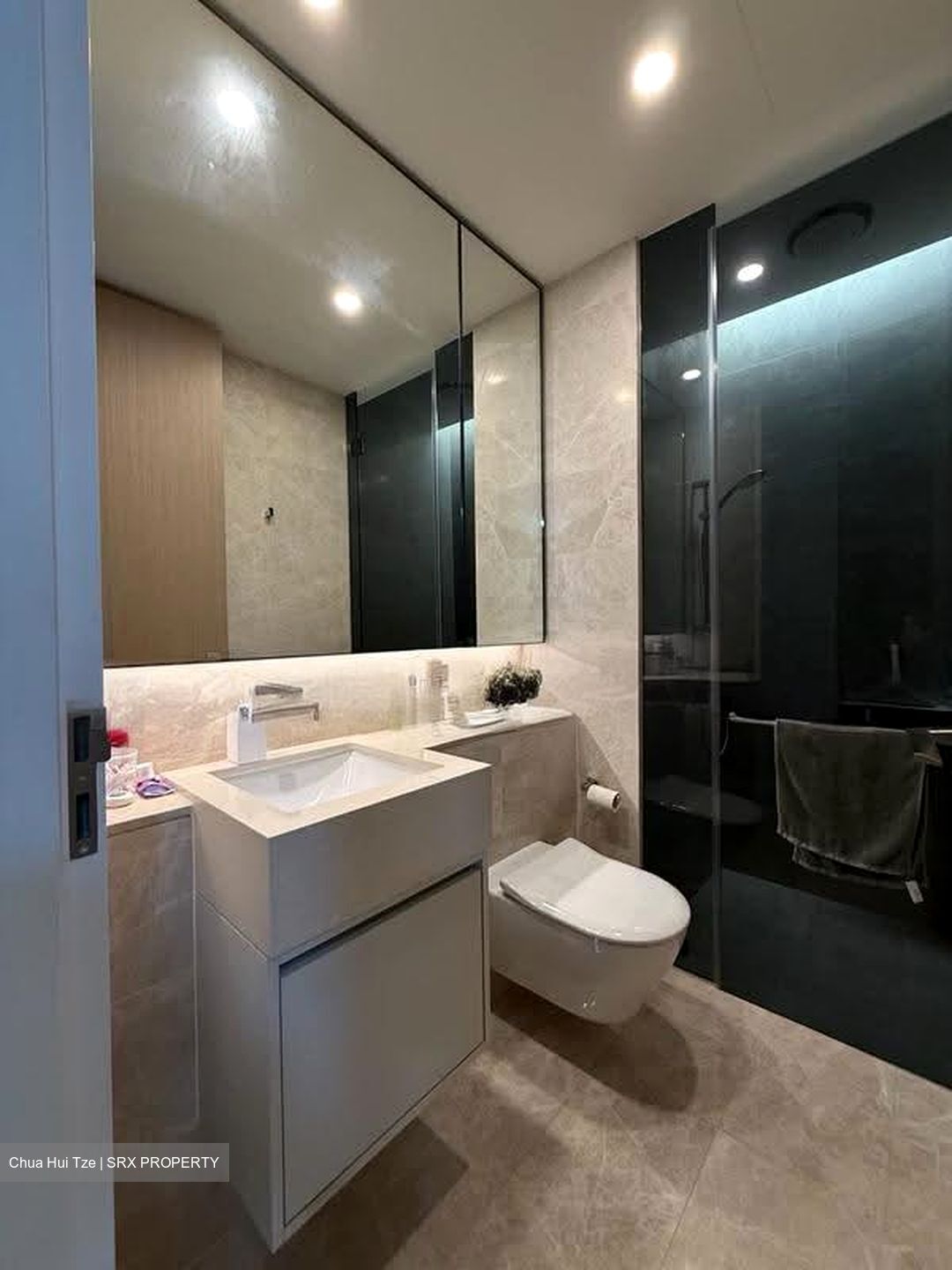 Amber Park (D15), Condominium #612618351